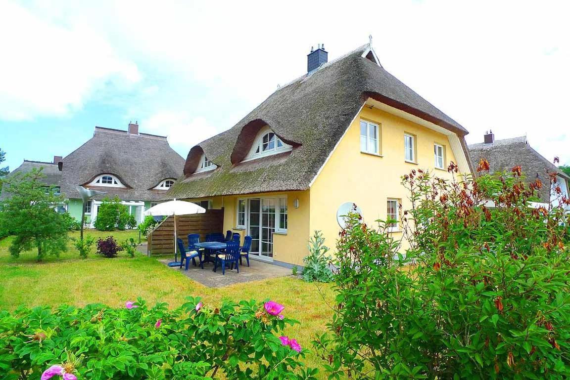 Ferienhaus An Der Alten Waldschaenke Ws-11A Born Exterior photo