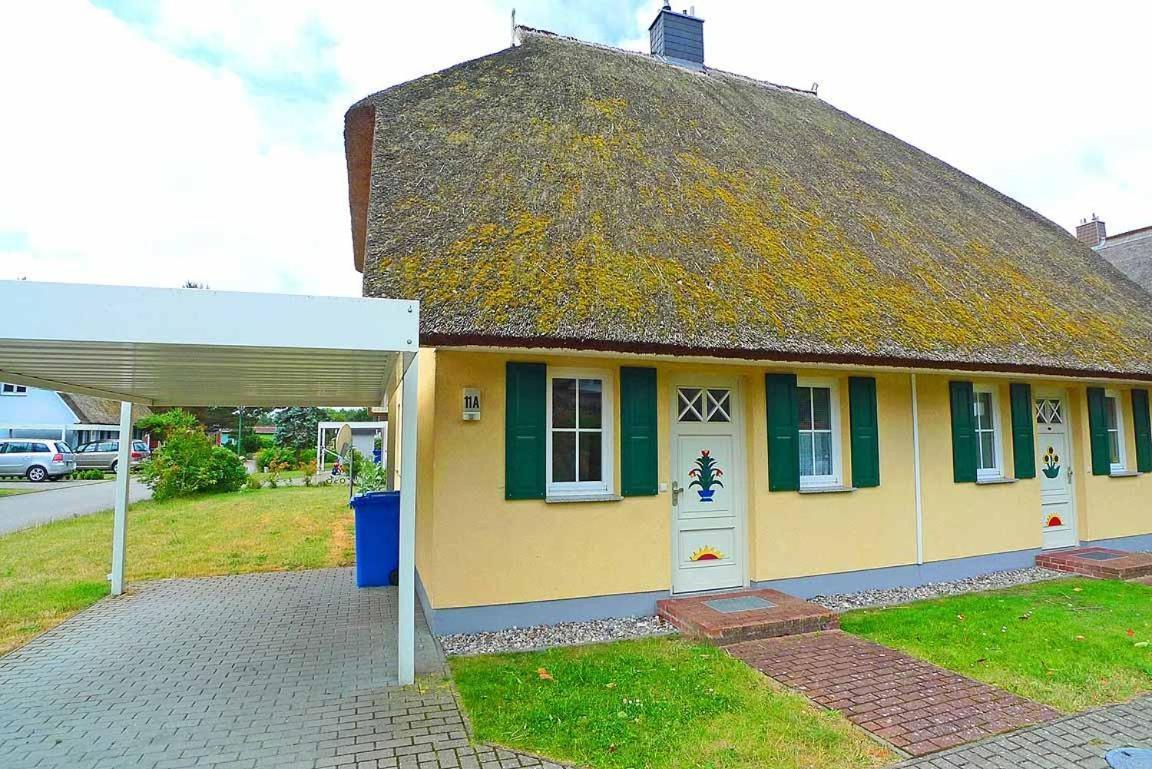 Ferienhaus An Der Alten Waldschaenke Ws-11A Born Exterior photo